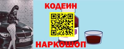 гашик Волжский