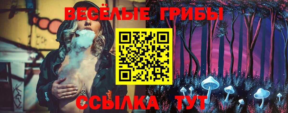 Псилоцибиновые грибы Psilocybine cubensis  Вход с VPN  Белово  Псилоцибиновые грибы прущие грибы 